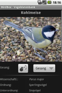 vogeldatenbank3